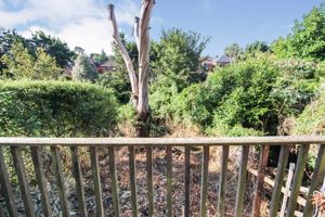 Photo 12- click for photo gallery